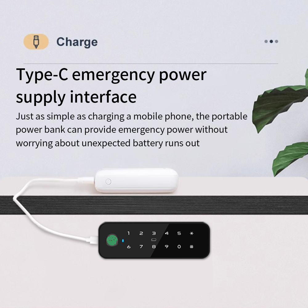 Tuya Bluetooth Akıllı Ahşap Do - Furniture Hardware Supplies incelemesi ve fiyatı